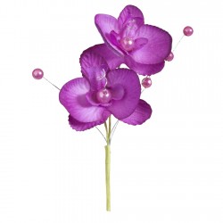 3 doubles orchidées royales